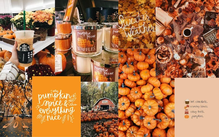 photo collage of photos of pumpkins candles pumpkin spice coffee fall iphone wallpaper street with tall trees with falling leaves
