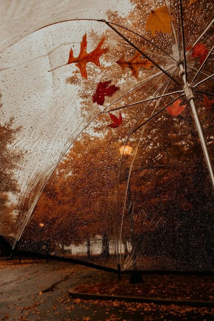 photo taken from under umbrella covered with raindrops cute fall wallpaper iphone orange leaves on top