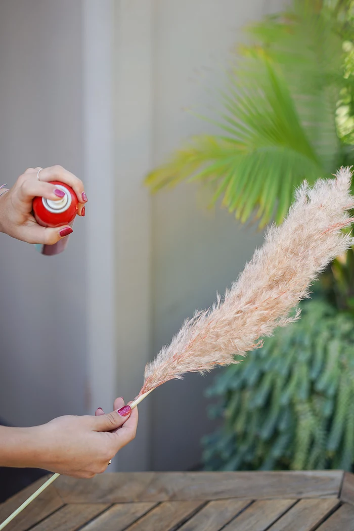 spray painting a branch of pampas grass how to dry pampas grass palm tree in the background