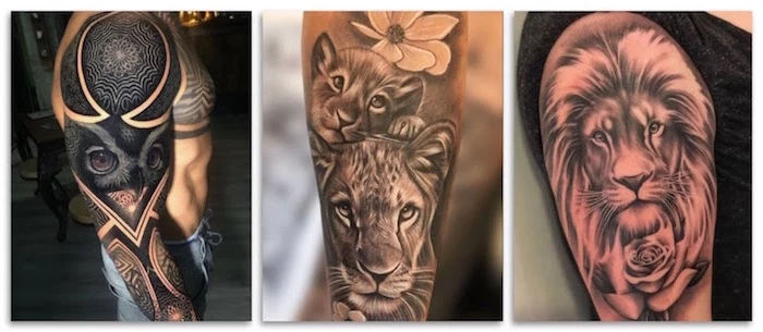 animal tattoos three side by side photos forearm tattoos for men owl lion cub lioness lion with rose
