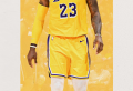 Lakers Wallpaper To Celebrate Their 17th Championship