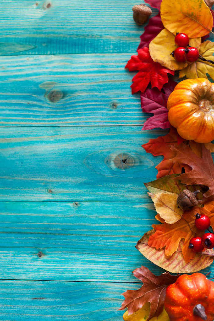 14 Cute Thanksgiving iPhone Wallpapers for Free  Guiding Tech