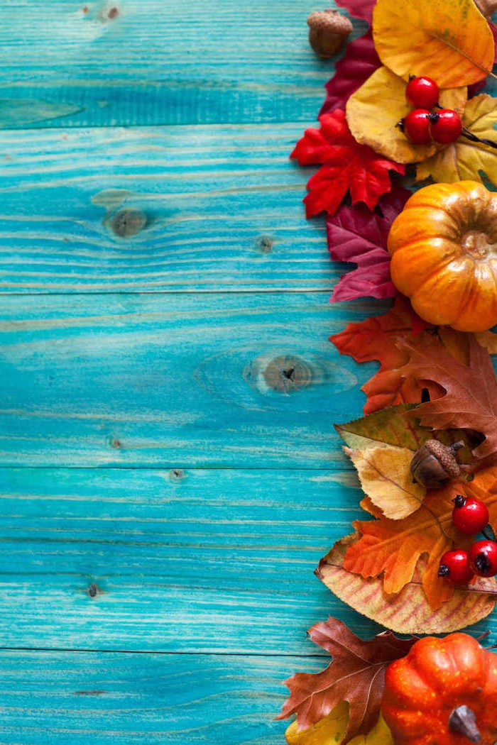 fall leaves pumpkins cranberries on the side thanksgiving wallpaper hd arranged on blue wooden surface