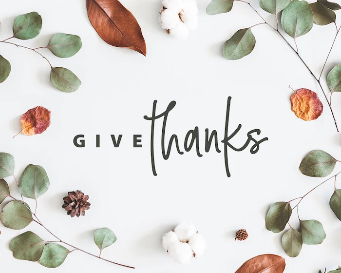 give thanks written in black on white background surrounded by dried fall leaves pine cones thanksgiving wallpaper