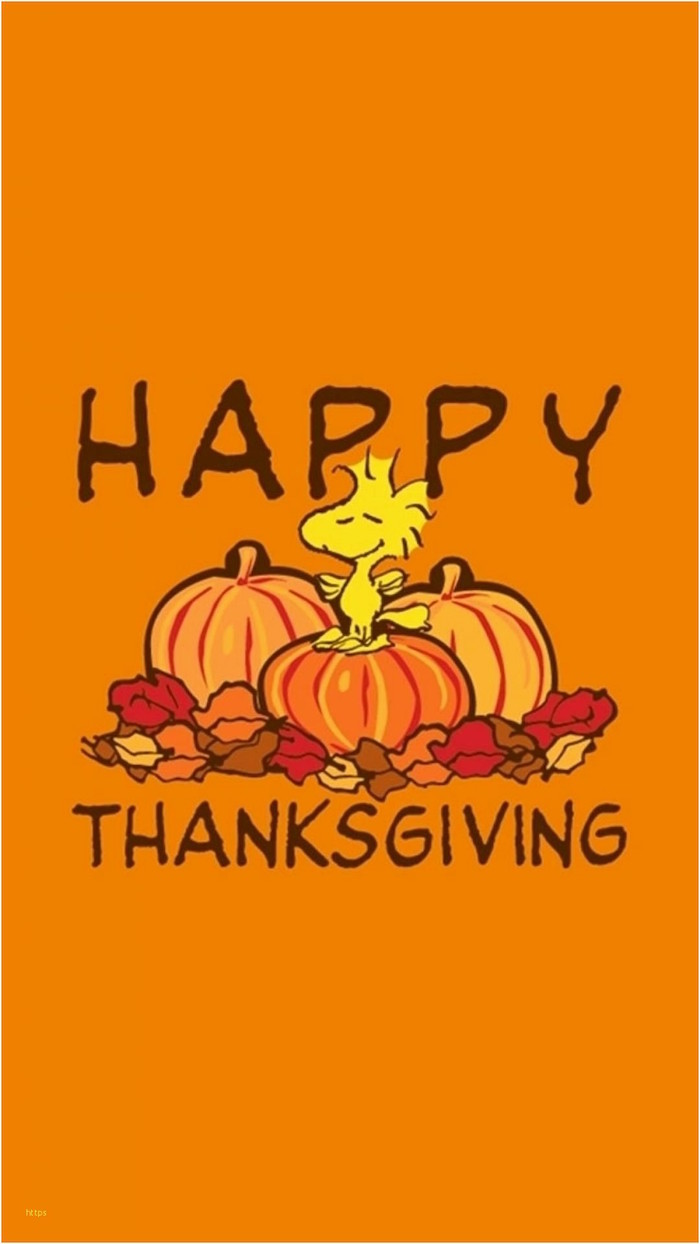 orange background happy thanksgiving written around drawings of pumpkins fall leaves background thanksgiving wallpaper