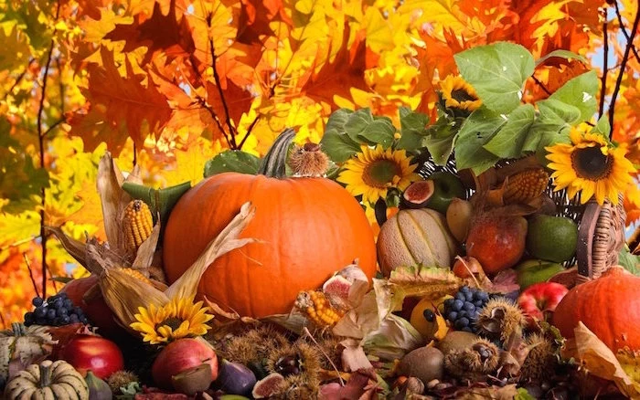 photo of arrangement with pumpkins pears apples corn grapes cute thanksgiving wallpaper fall leaves in the background