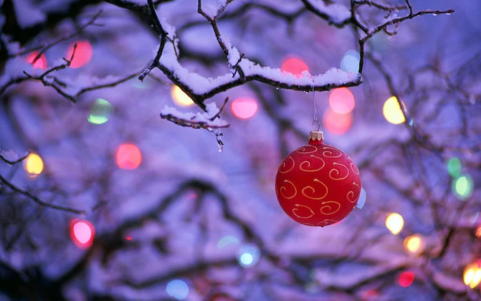 christmas wallpaper close up photo of red bauble hanging from tree branch covered with snow lights in the background