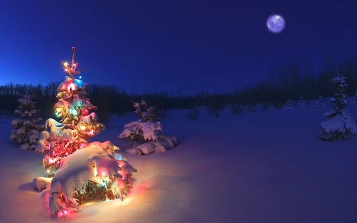 small tree covered with colorful lights and snow in the middle of field with small trees covered with snow