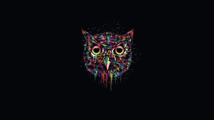 black background minimalist wallpaper colorful drawing of the head of an owl drawn in watercolor