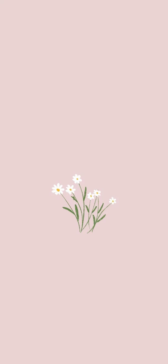 daisies drawn in the middle with green stems and leaves on pink background simple phone backgrounds
