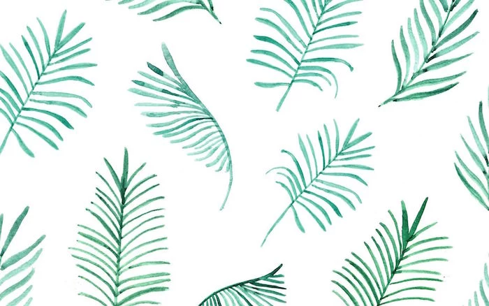 fern leaves drawn with white watercolor on white background minimalist iphone wallpaper