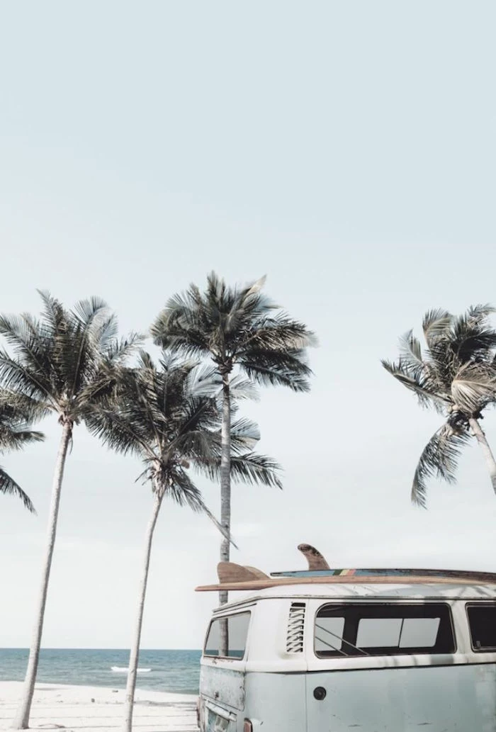 tall palm trees next to the beach 4k minimalist wallpaper old caravan with surf on the roof
