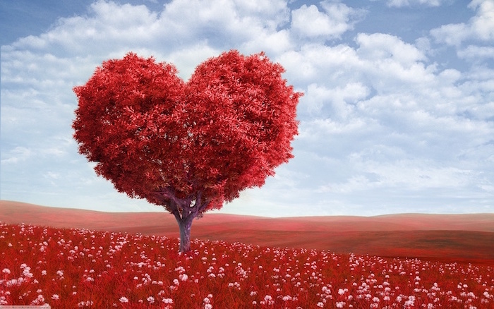 digital drawing of a field covered with red flowers and grass when is valentines day tree in the middle shaped as a heart