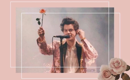 harry styles iphone wallpaper pink background photo of harry in the middle holding a rose on stage