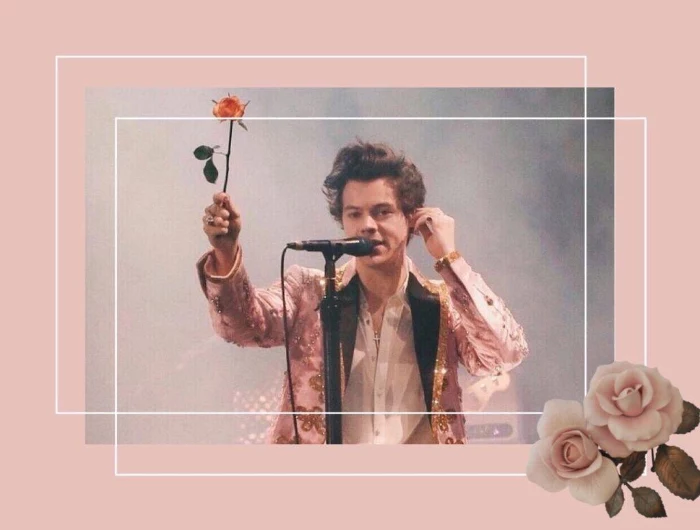 harry styles iphone wallpaper pink background photo of harry in the middle holding a rose on stage