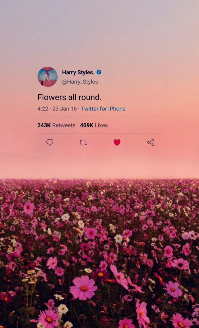 harry styles lockscreen tweet from him flowers all round over photo of field covered with purple and white flowers