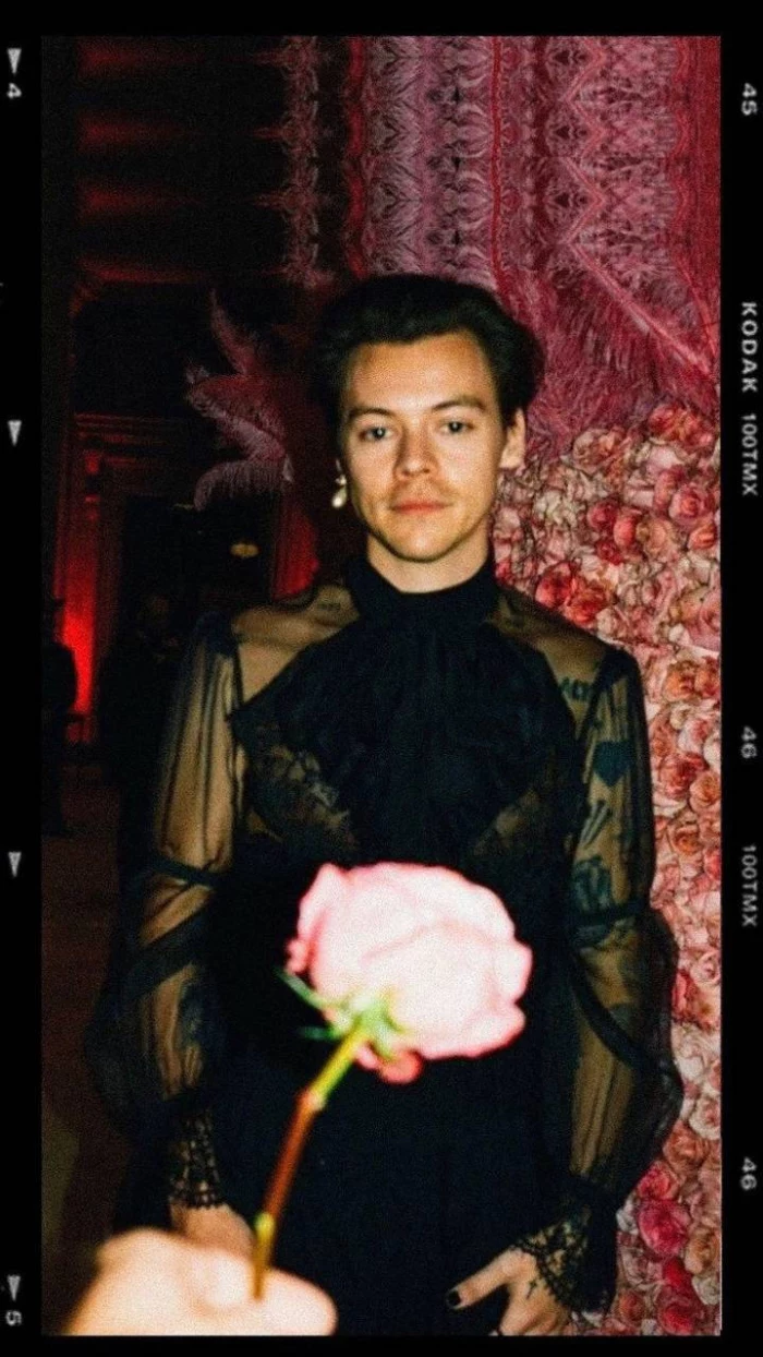 retro photo of harry wearing black see through sheer shirt harry styles laptop wallpaper rose at the forefront