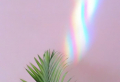 Pick a Rainbow Wallpaper to Bring Some Color Into Your Life