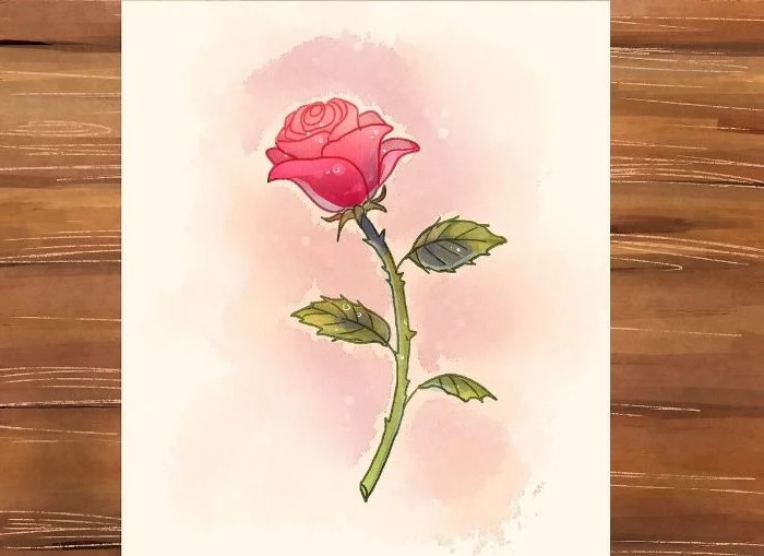drawing of an animated red rose with stem flower drawing step by step watercolor pink white background
