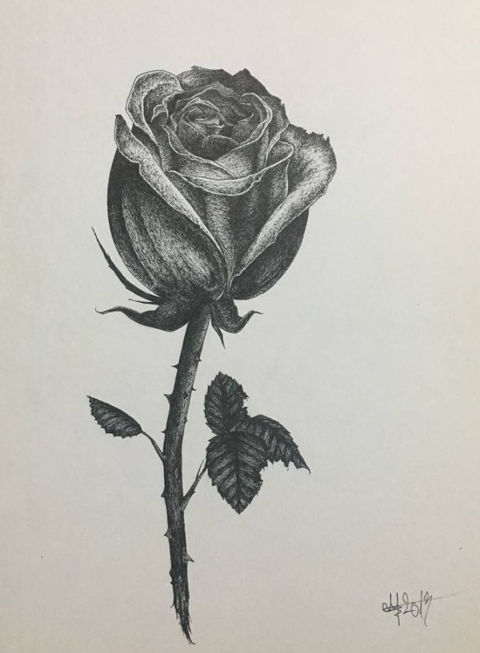 drawing of dark rose with step and leaves flower drawing step by step black and white pencil drawing