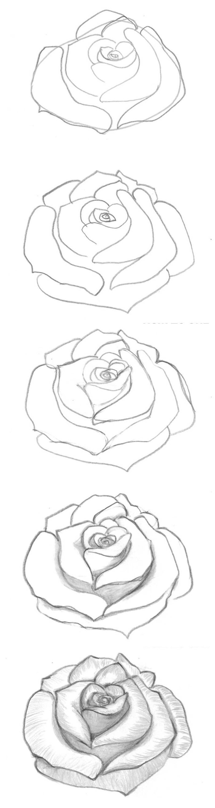 five step photo collage of diy tutorial how to draw a flower step by step black and white pencil sketch