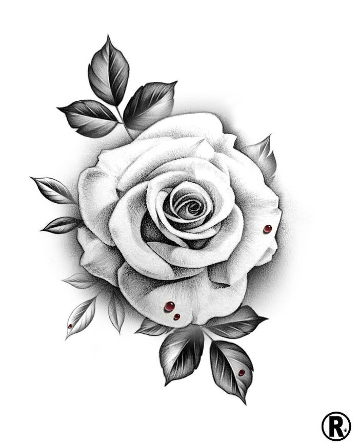 how to draw a rose close up drawing of black and white pencil drawing on white background