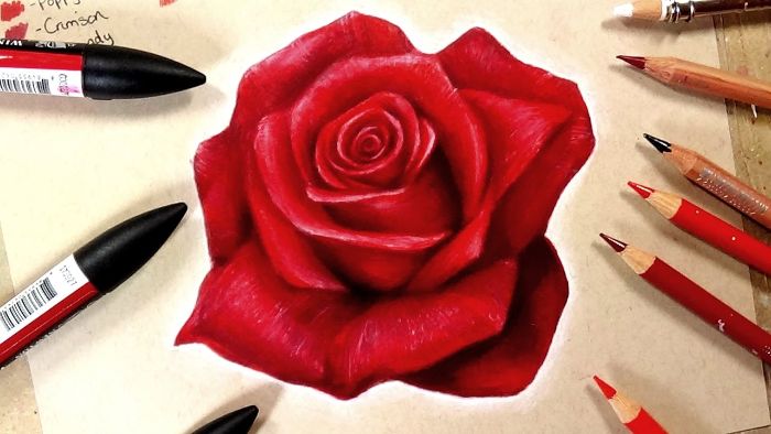 How to Draw a Rose Step by Step – Helpful Tutorials for Beginners