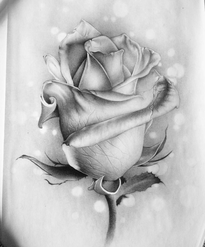 realistic drawing of rose how to draw a rose step by step black and white pencil drawing
