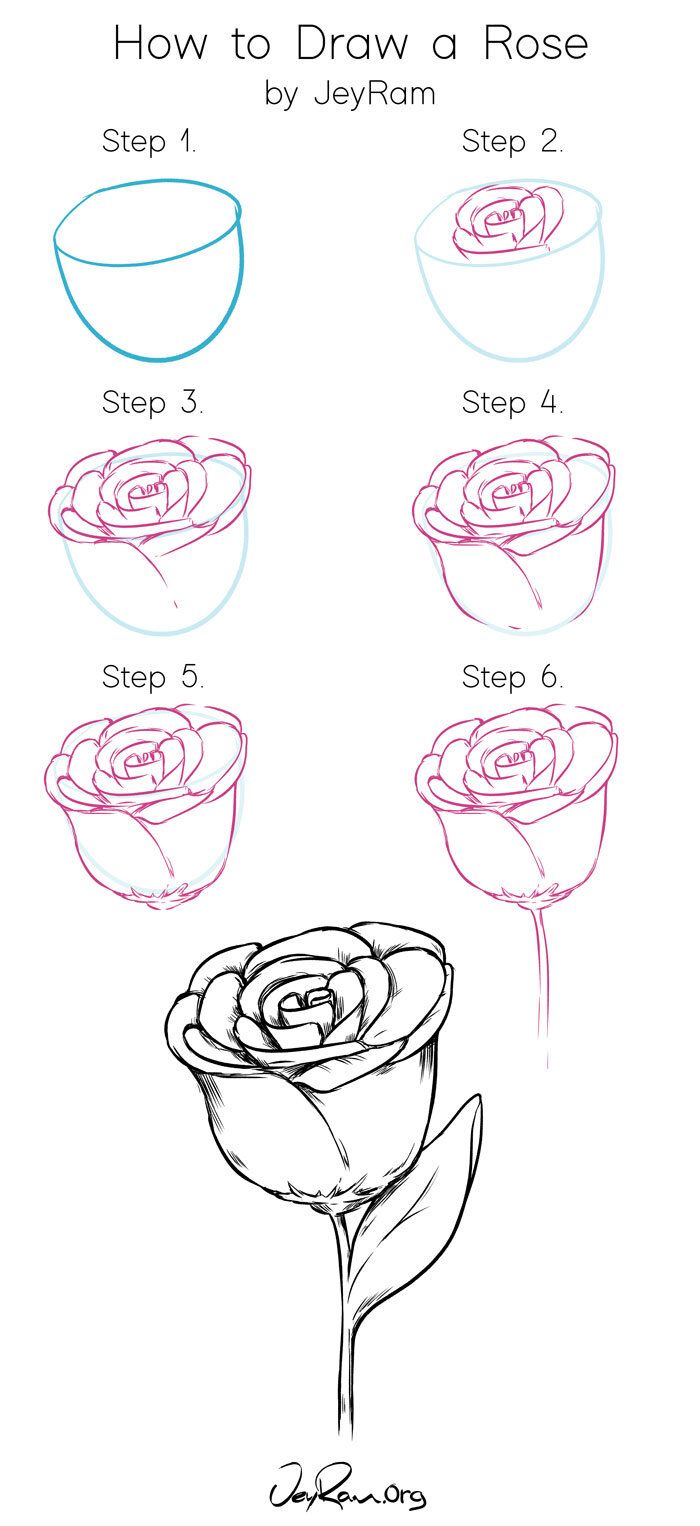 How To Draw A Rose Step By Step Helpful Tutorials For Beginners