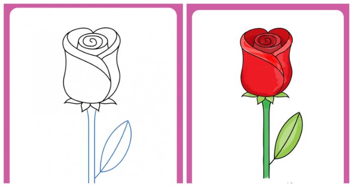 side by side photos of step by step diy tutorial realistic rose drawing red rose