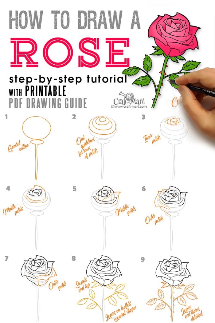 step by step diy tutorial for pink rose with stem thorns and leaves pencil drawings of flowers nine step tutorial