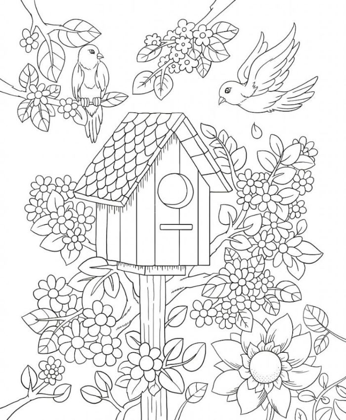 Coloring Pages Of Birds And Flowers