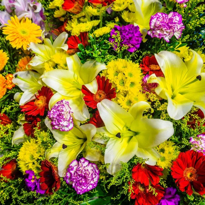 close up photo of flower bouquet flowers to give as gifts in yellow red green and purple flowers