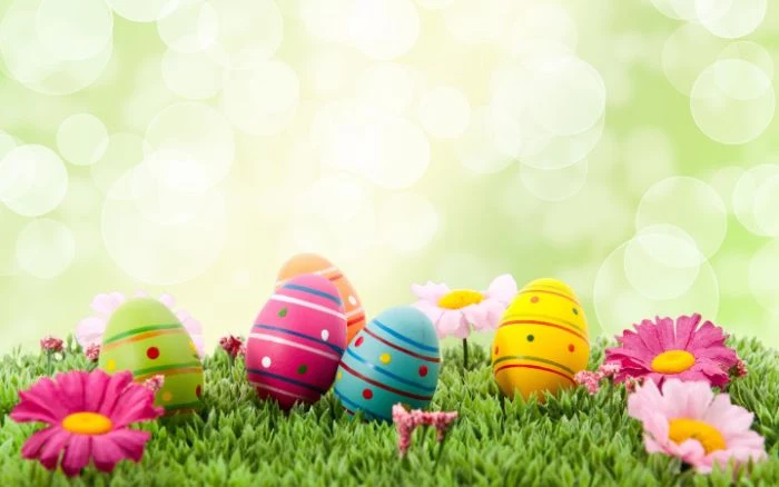 easter eggs in green pink orange blue yellow easter background placed on grass