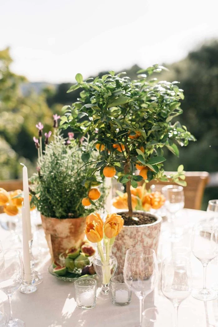 flower arrangements and mini lemon trees in the middle of the table outdoor wedding decorations wedding centerpiece