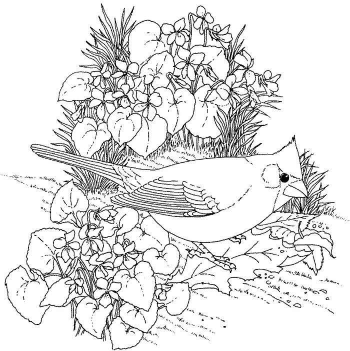 flowers and grass black and white drawing flower coloring pages for kids bird standing on a leaf