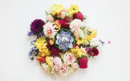 flowers to give as gifts flower bouquet photographed from above with different flowers in different colors