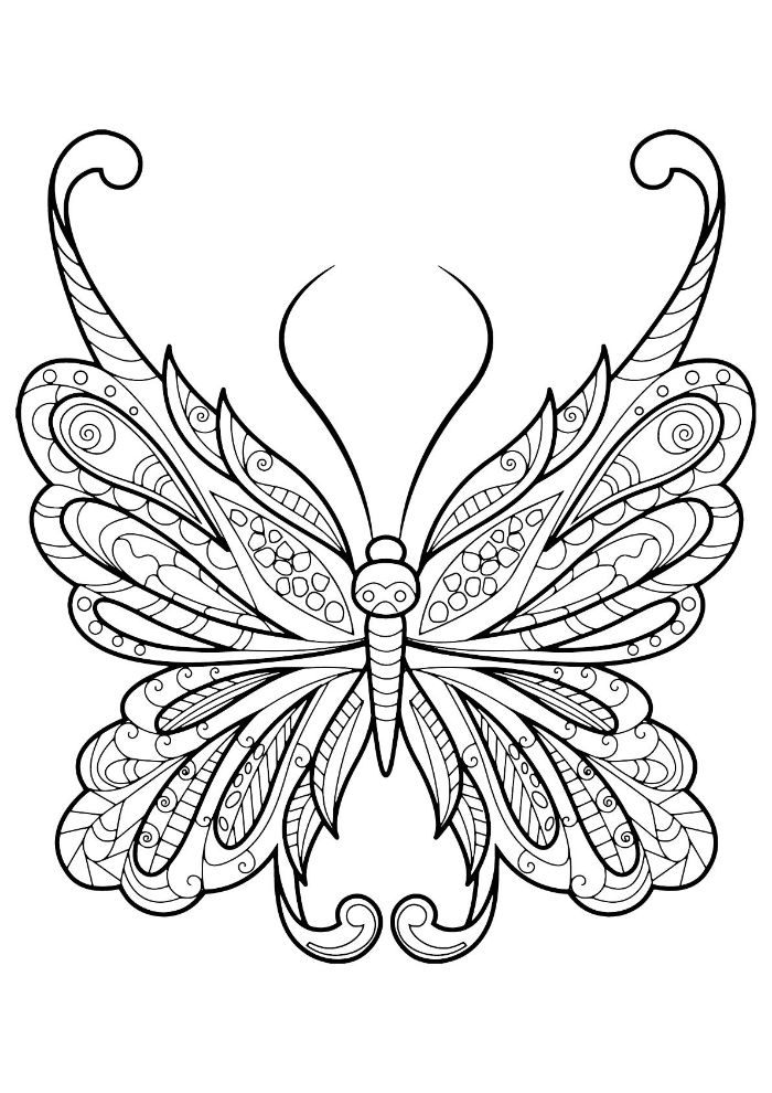 free coloring pages for girls black and white drawing of butterfly with patterns on the wings