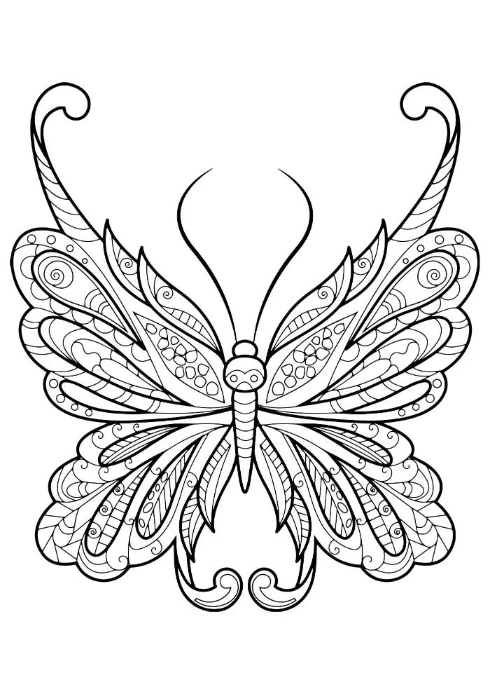 free coloring pages for girls black and white drawing of butterfly with patterns on the wings
