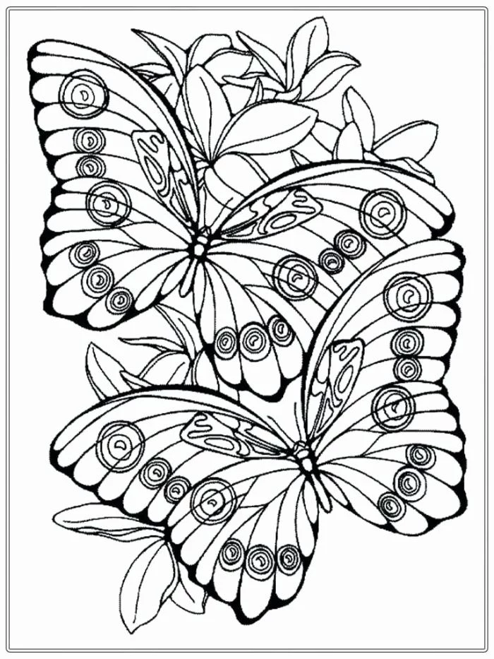 free printable spring coloring pages black and white drawing of two butterflies surrounded by flowers
