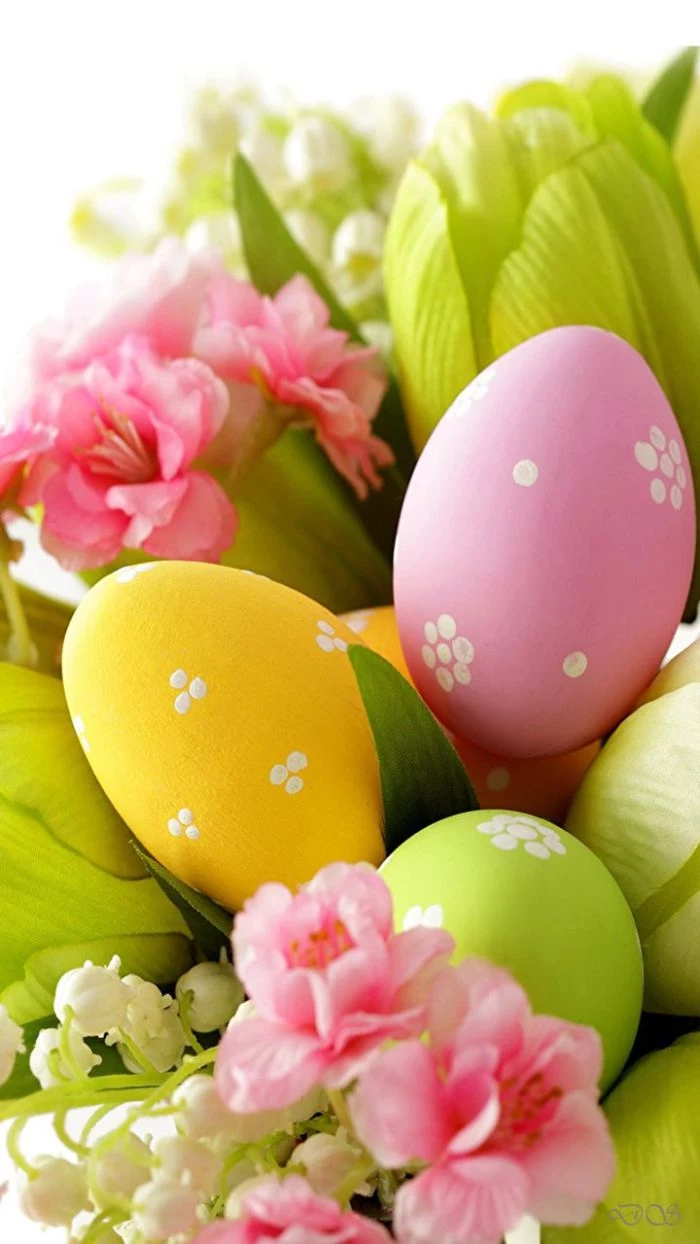 green yellow and purple eggs with white flowers on them easter background images placed in a basket with flowers