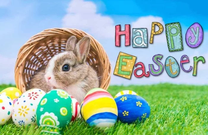 happy easter written next to photo of bunny sitting in basket easter egg background decorated easter eggs around it
