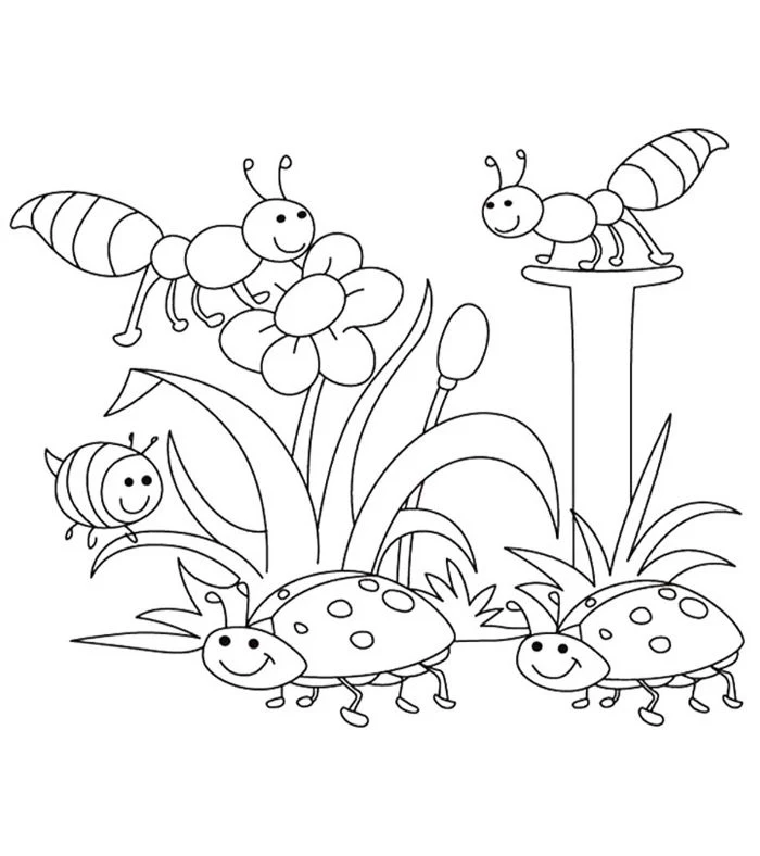 ladybugs and ants surrounding flowers free printable spring coloring pages black and white drawing