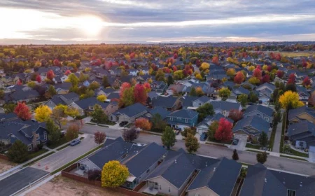 lots of houses photographed from above moving to a new neighborhood fall trees in between at sunrise