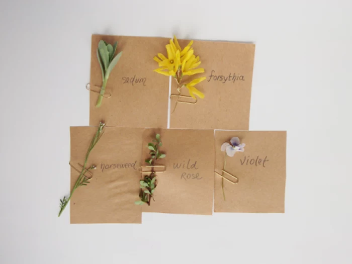 names of the different flowers used for diy easter crafts white background