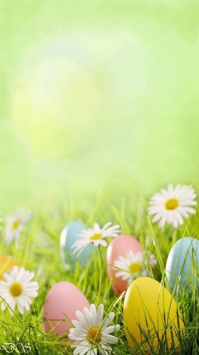 white daisies and eggs in yellow pink blue on the grass free easter wallpaper