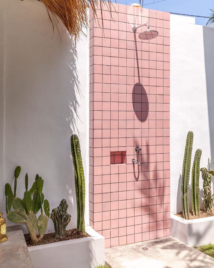 cactuses next to wall with small pink tiles outdoor shower ideas shower head and faucet only
