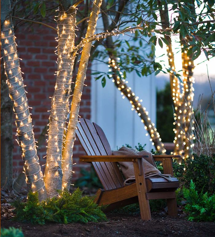 chair in between two trees outdoor hanging lights trunks wrapped with fairy lights fern plants around them