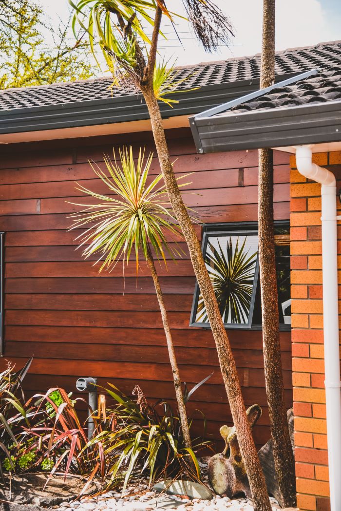 one storey house with wood siding on one wall bricks on the other home siding palm trees