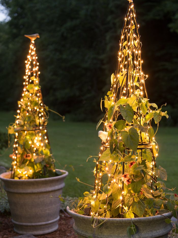 outdoor hanging lights two planters with poison ivy metal construction around it wrapped with fairy lights